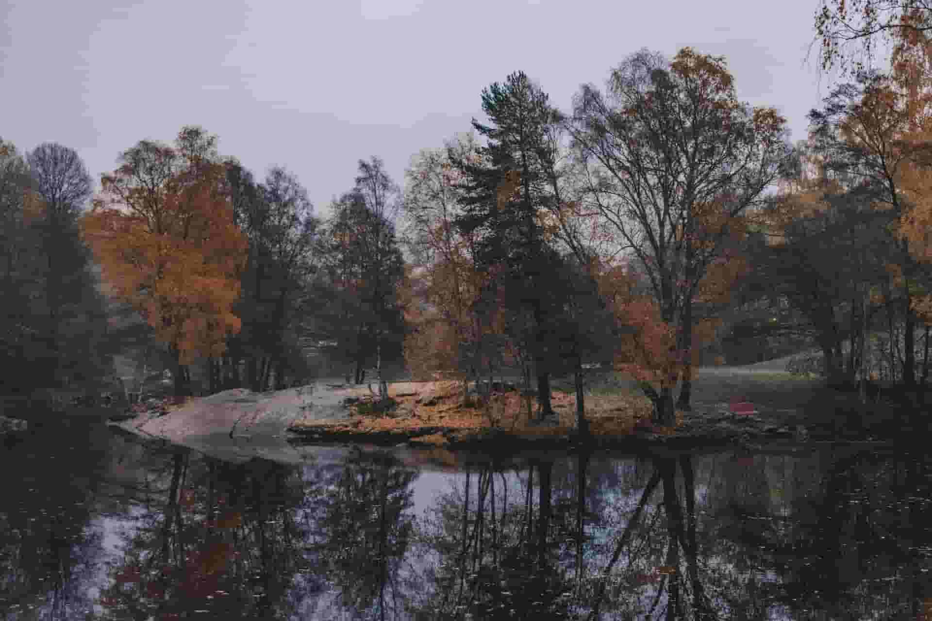 описание картинки